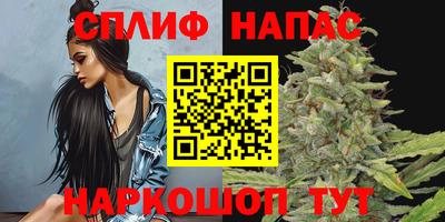 хмурый Будённовск