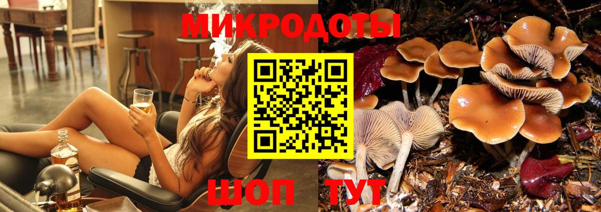 Псилоцибиновые грибы MAGIC MUSHROOMS  Псилоцибиновые грибы прущие грибы  Коммунар  Вход с VPN 
