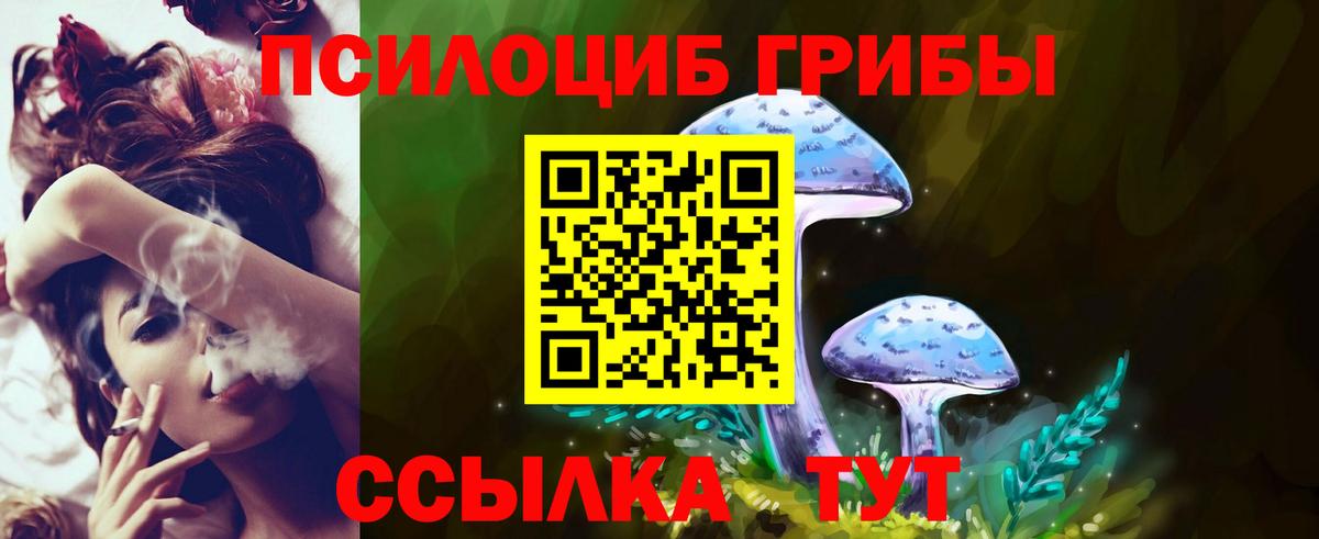 Галлюциногенные грибы Magic Shrooms Коммунар